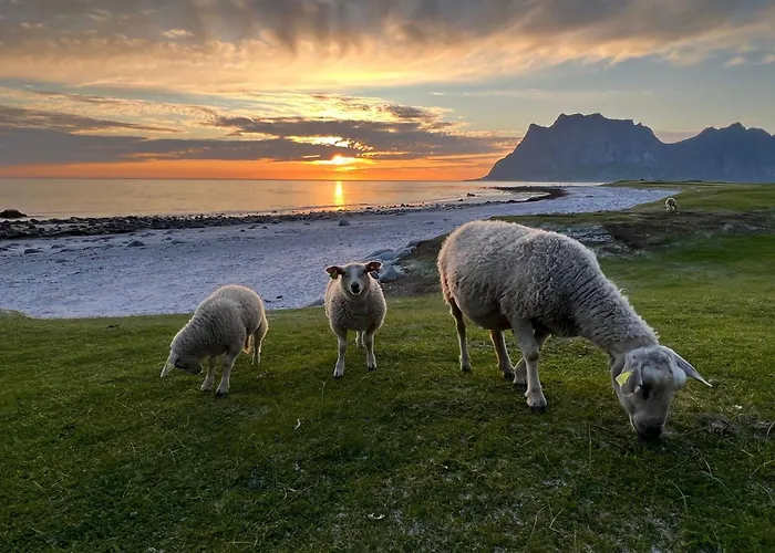 Fisherman\'S Cabin, Lofoten - 12 Teronbua